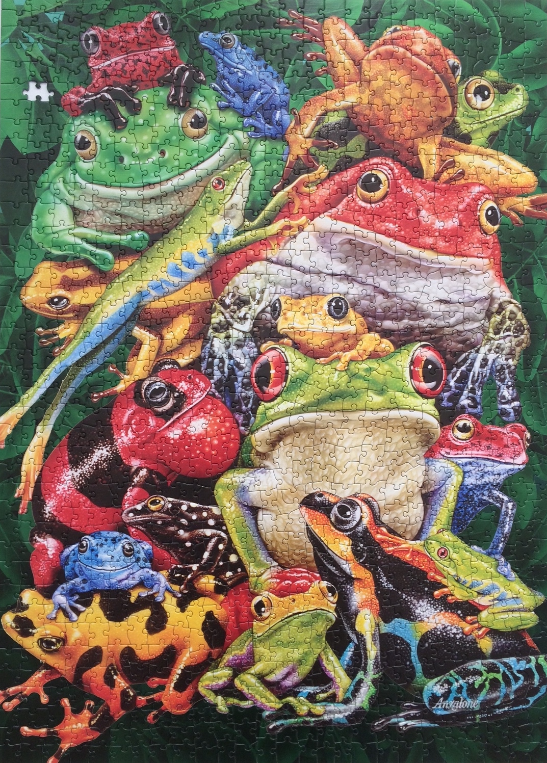 Frog-business-puzzle