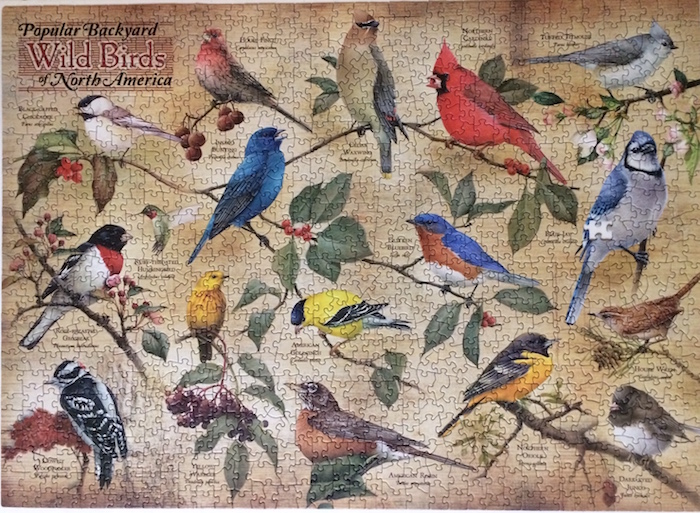Brand: Cobble Hill Puzzle Company, Title: Wild Birds of North America, By: Catherine McClung Pieces: 1000 Poster Included, Size: 26.625