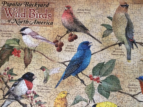 Contemporary Puzzles Popular Backyard Wild Birds Of North America 1000 Piece Jigsaw Puzzle Minikapriz Com Ua